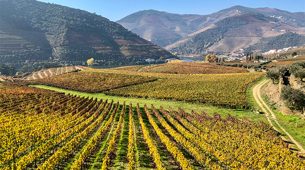 Duoro Valley